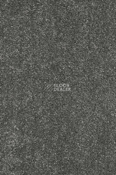 Ковролин AW Gaia Equinox 97 фото 1 | FLOORDEALER